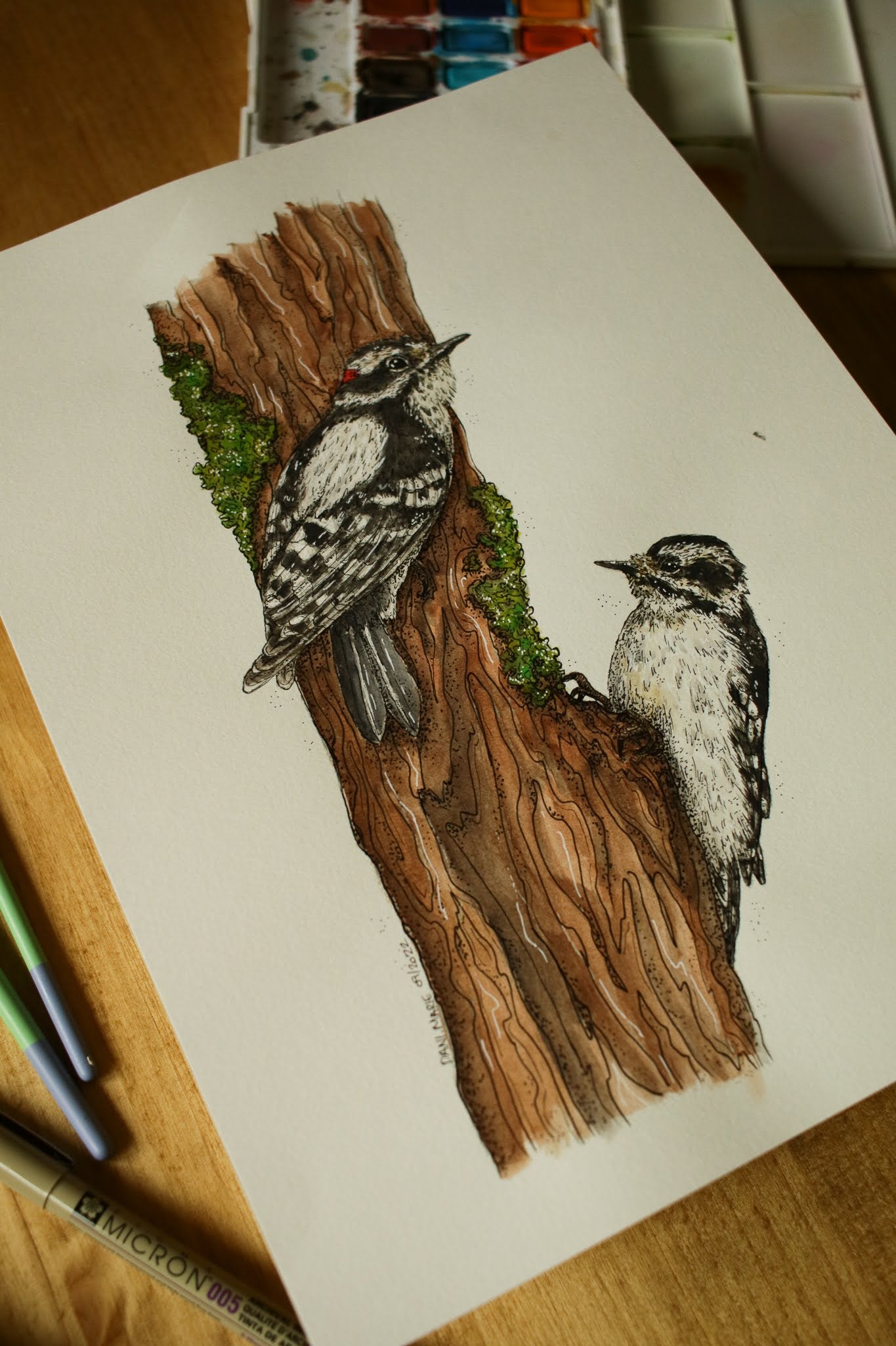 Downy Woodpeckers - Original Watercolour Painting