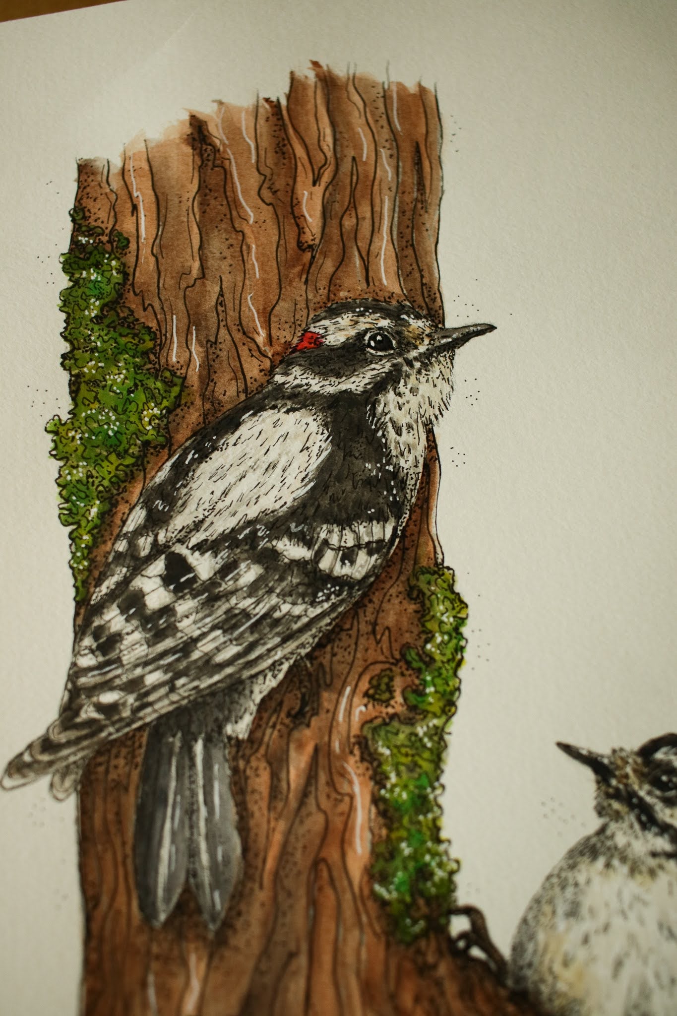 Downy Woodpeckers - Original Watercolour Painting