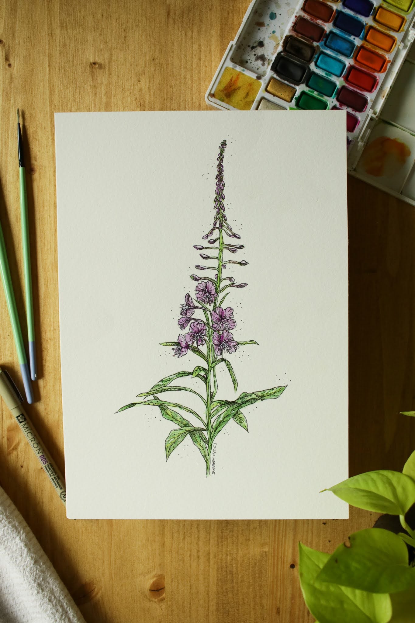 Fireweed - Original Watercolour Painting