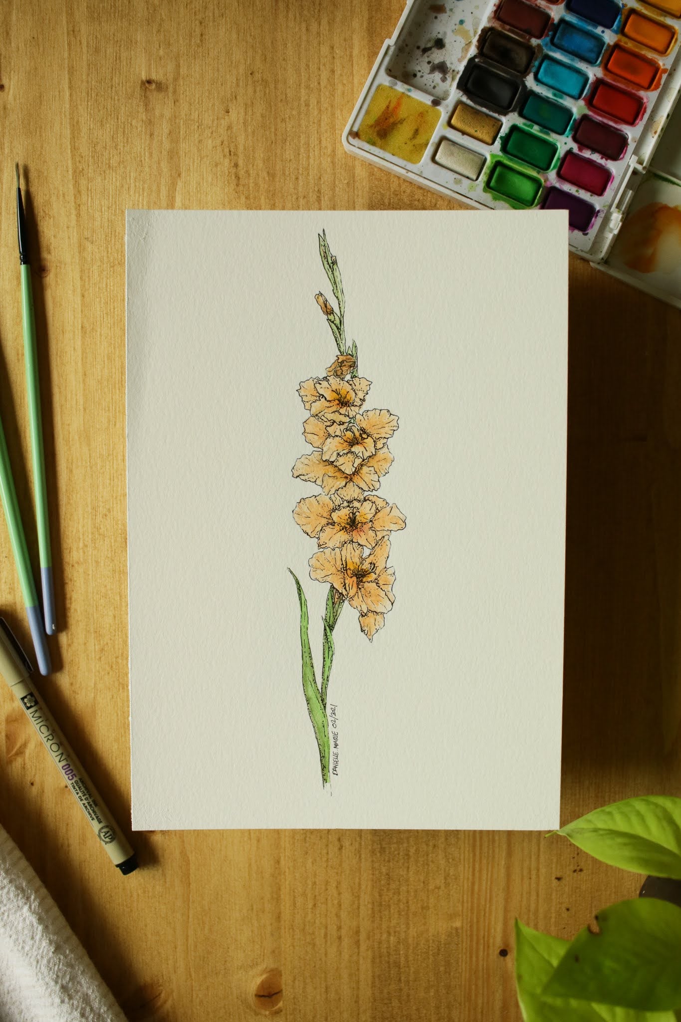 Gladiolus - Original Watercolour Painting
