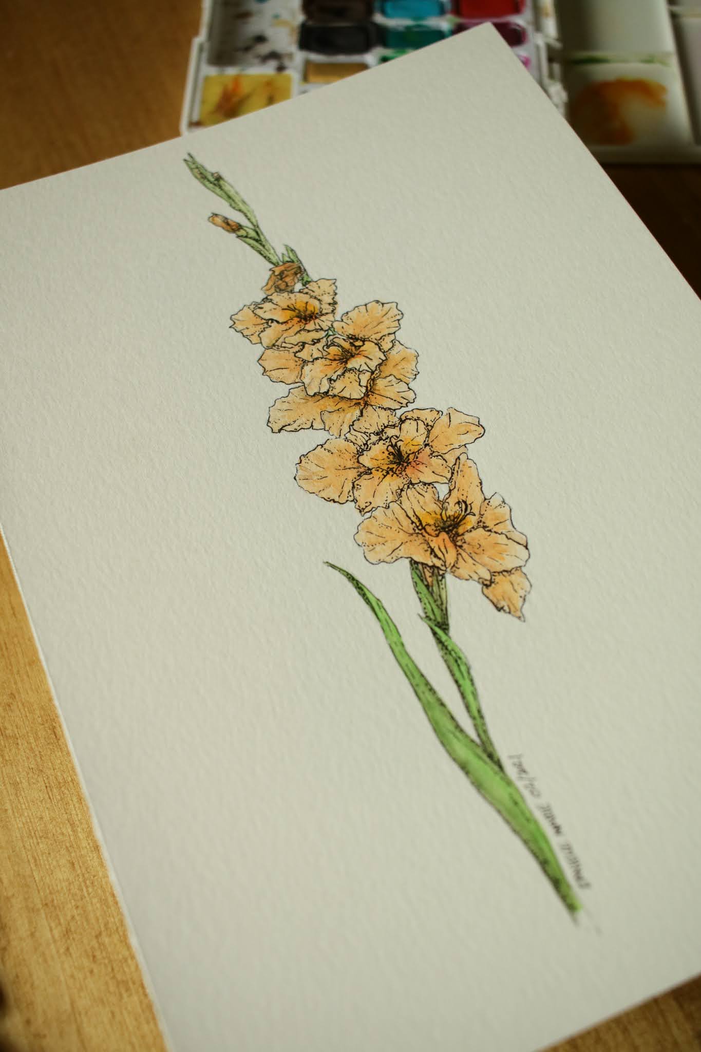 Gladiolus - Original Watercolour Painting