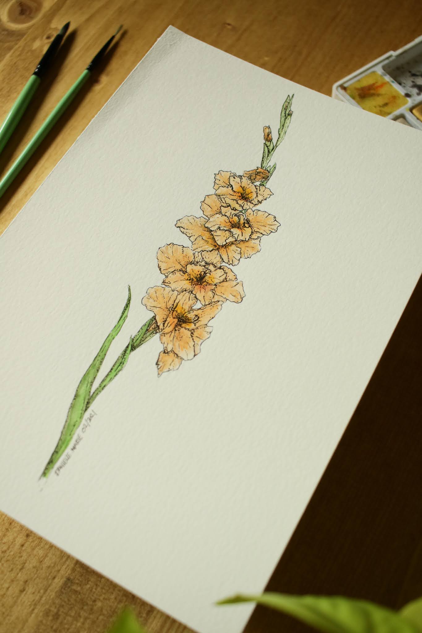 Gladiolus - Original Watercolour Painting