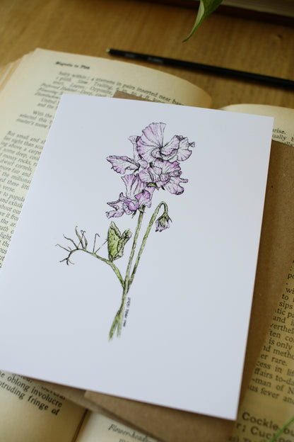 Heirloom Sweet Peas- SMALL Greeting Card