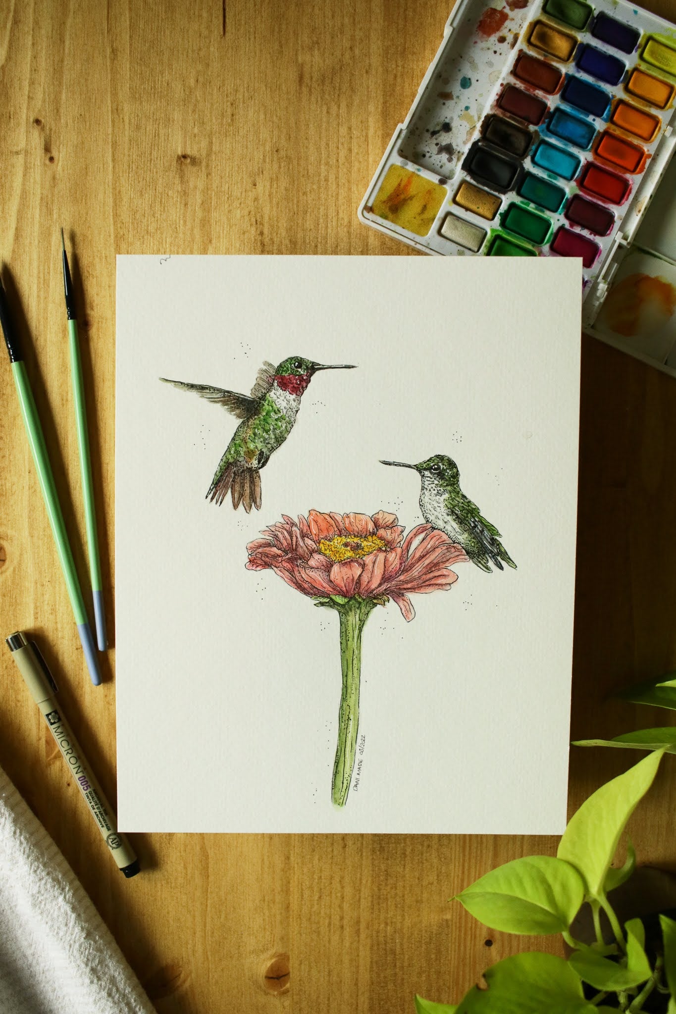 Ruby Throated Humming Birds - Original Watercolour Painting