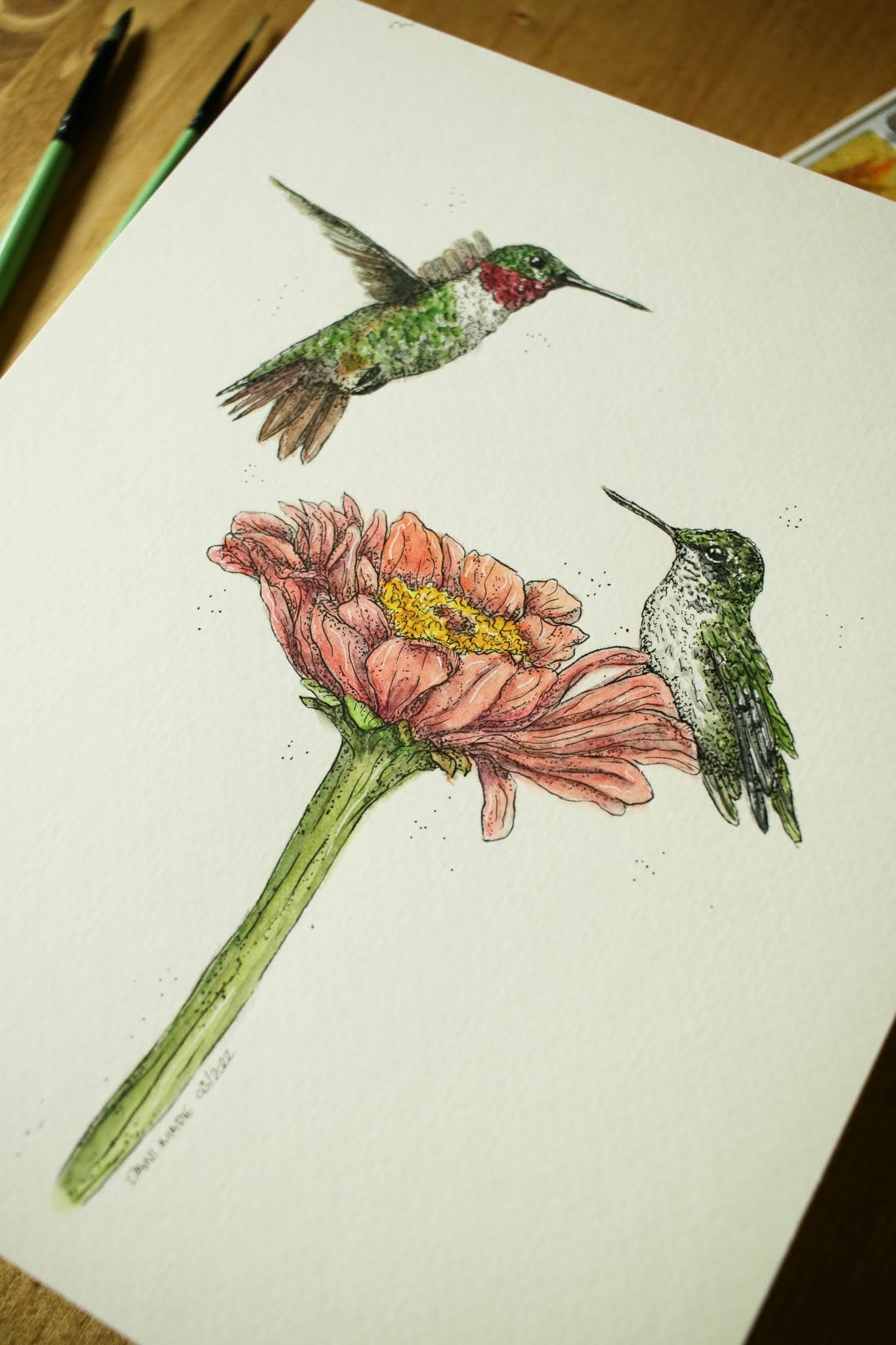 Ruby Throated Humming Birds - Original Watercolour Painting