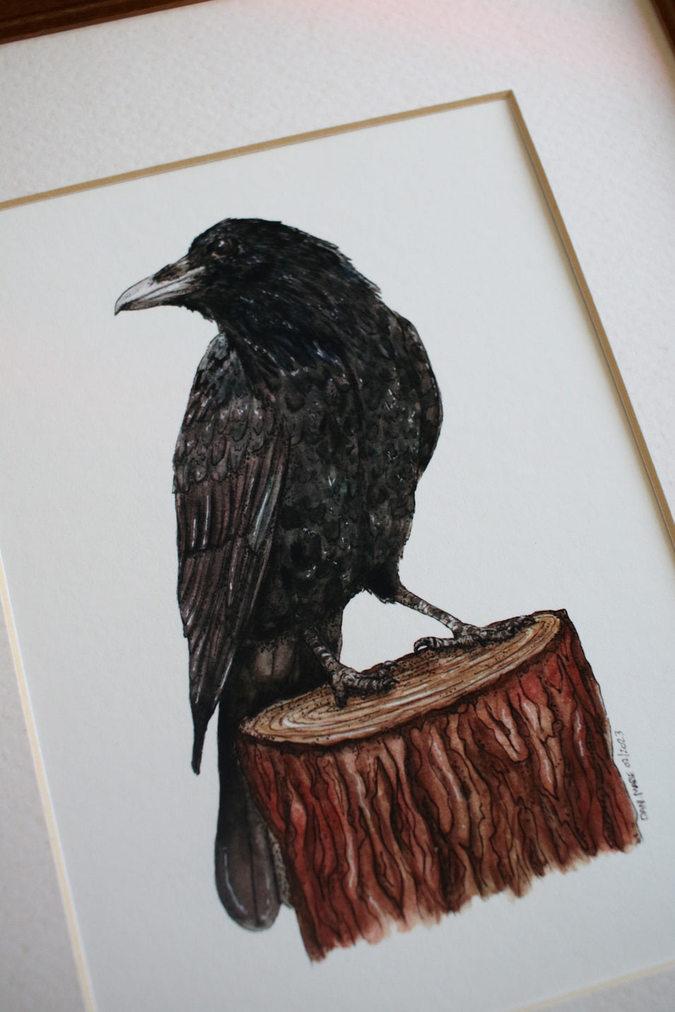 Raven