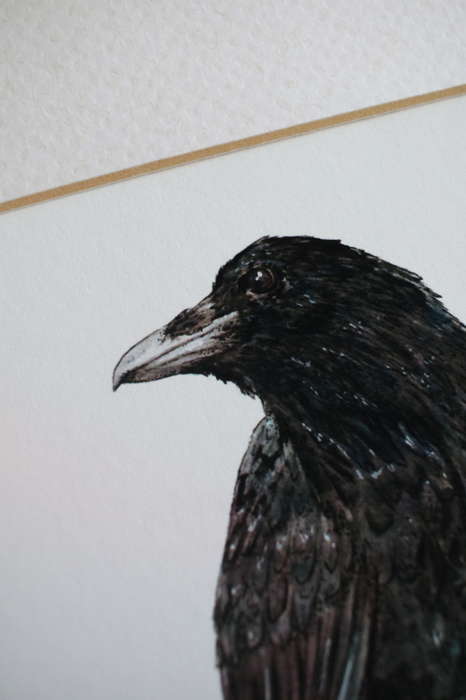 Raven