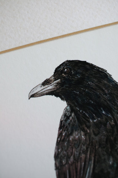 Raven