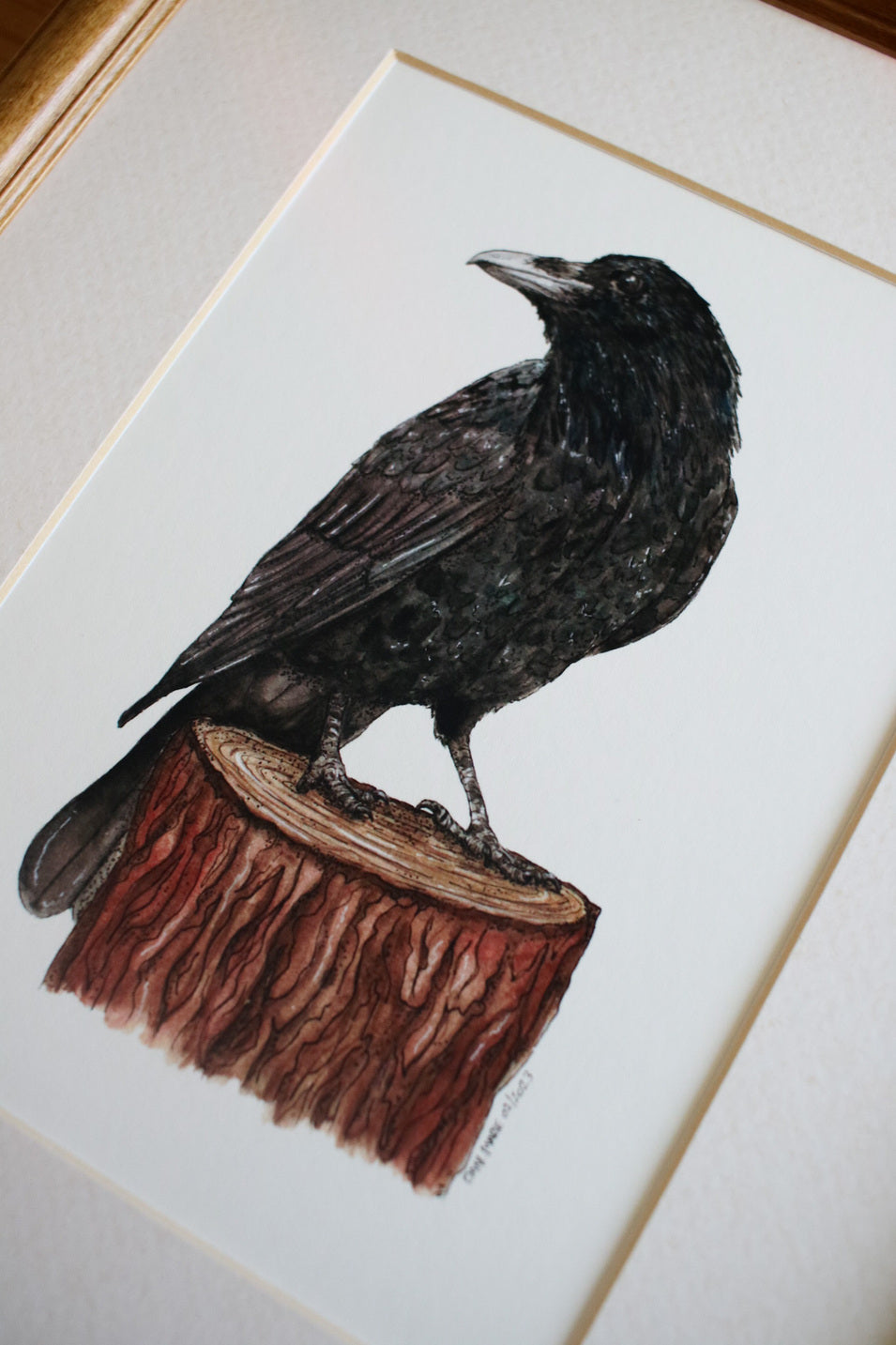 Raven