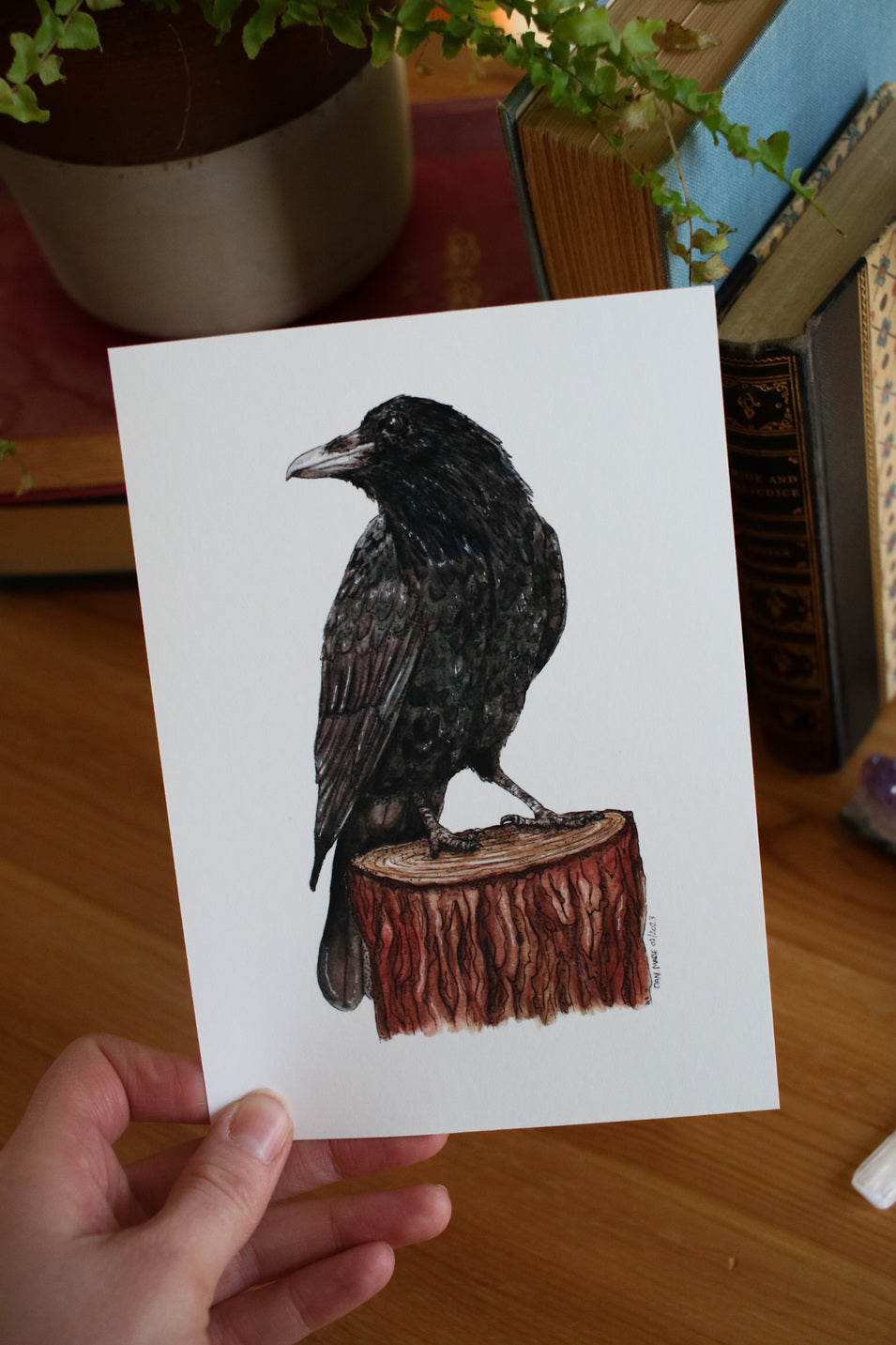 Raven