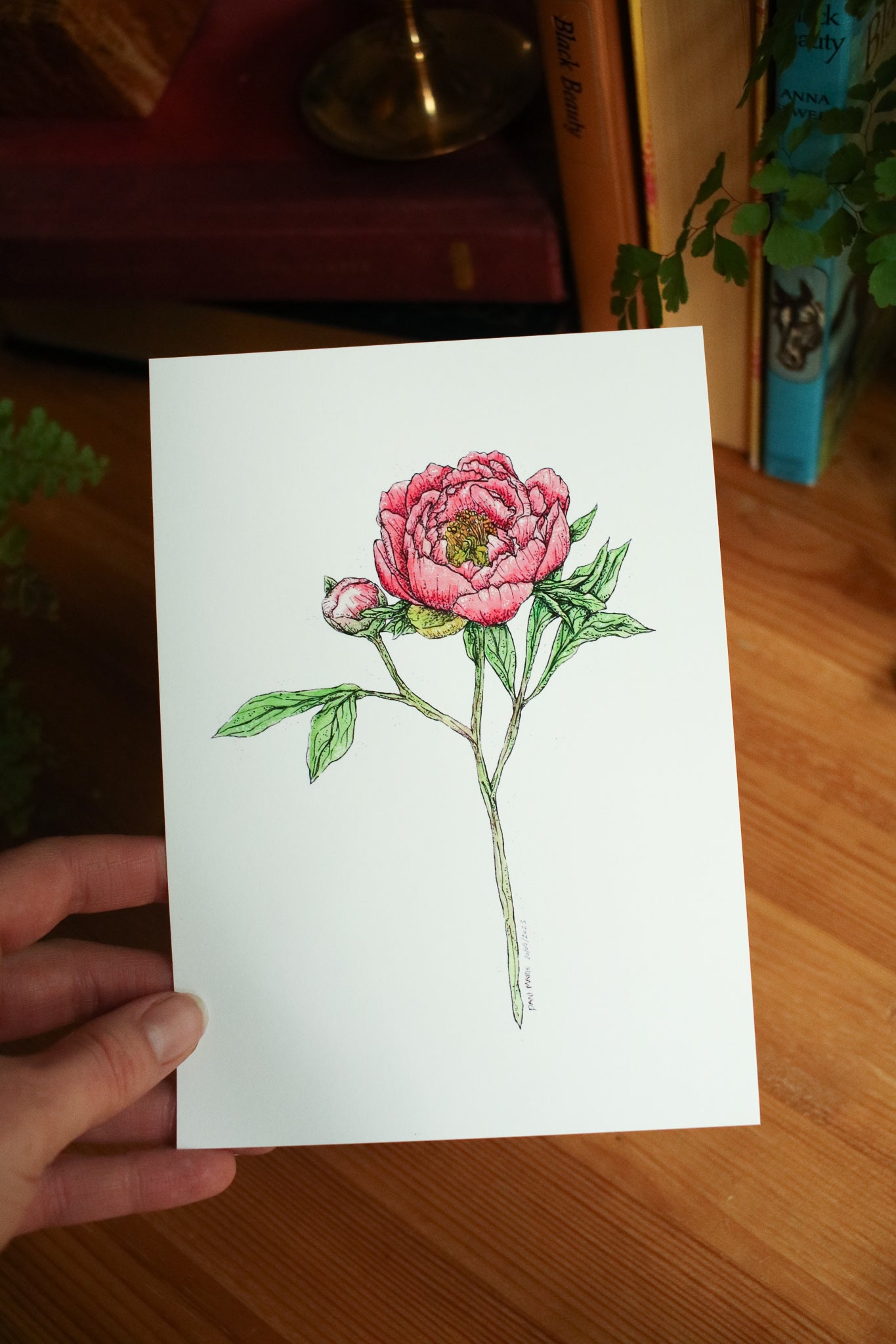 Coral Charm Peony