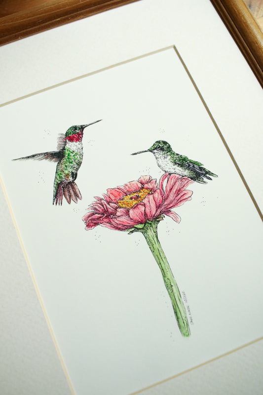Ruby Throated Hummingbird
