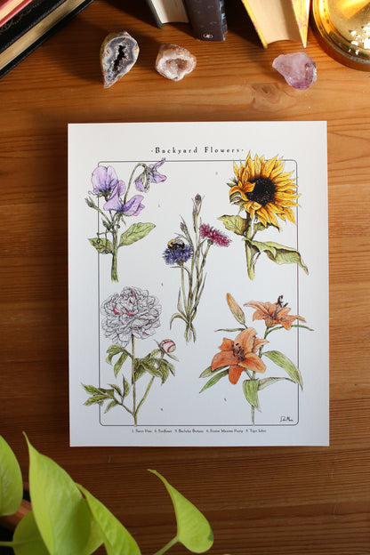 Backyard Flowers Print - Infographic