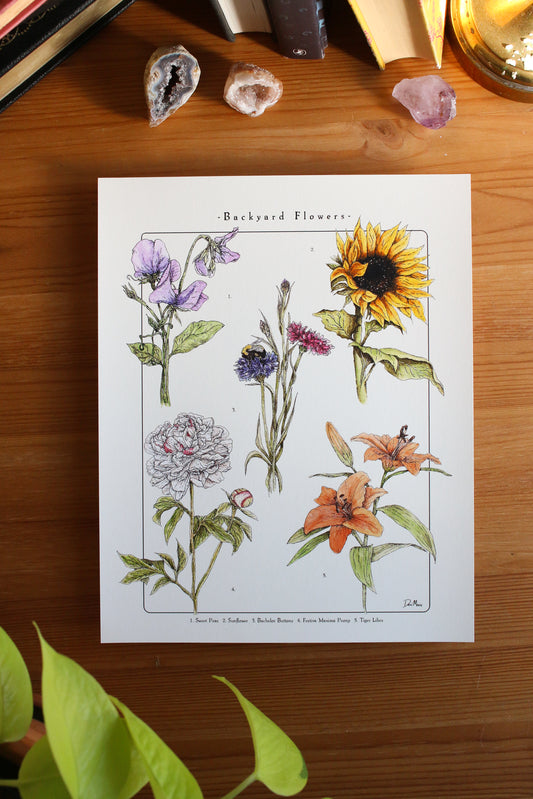 Backyard Flowers Print - Infographic
