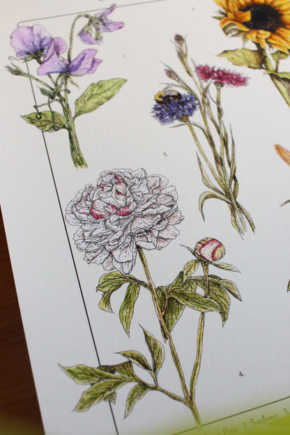 Backyard Flowers Print - Infographic