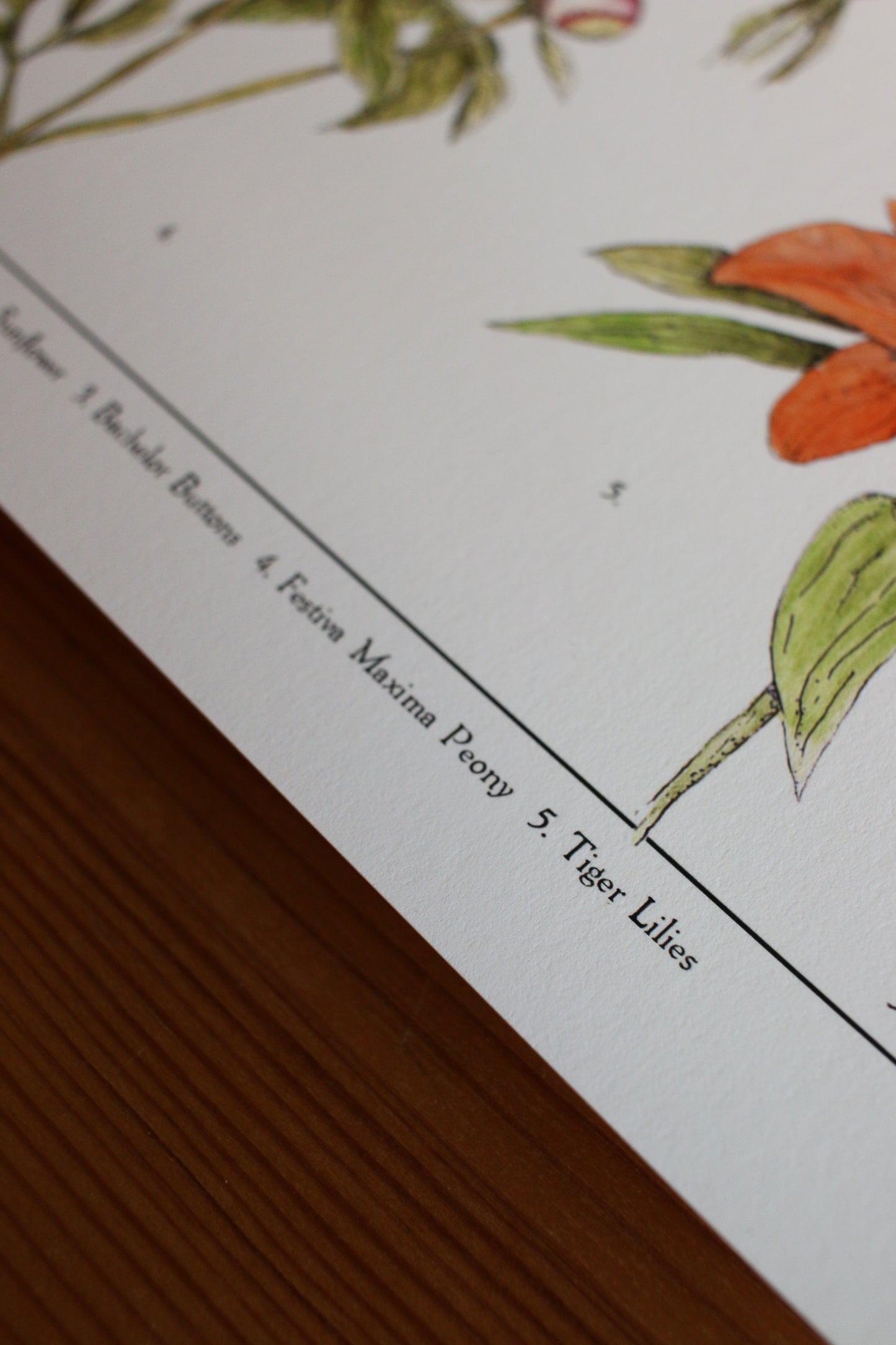 Backyard Flowers Print - Infographic