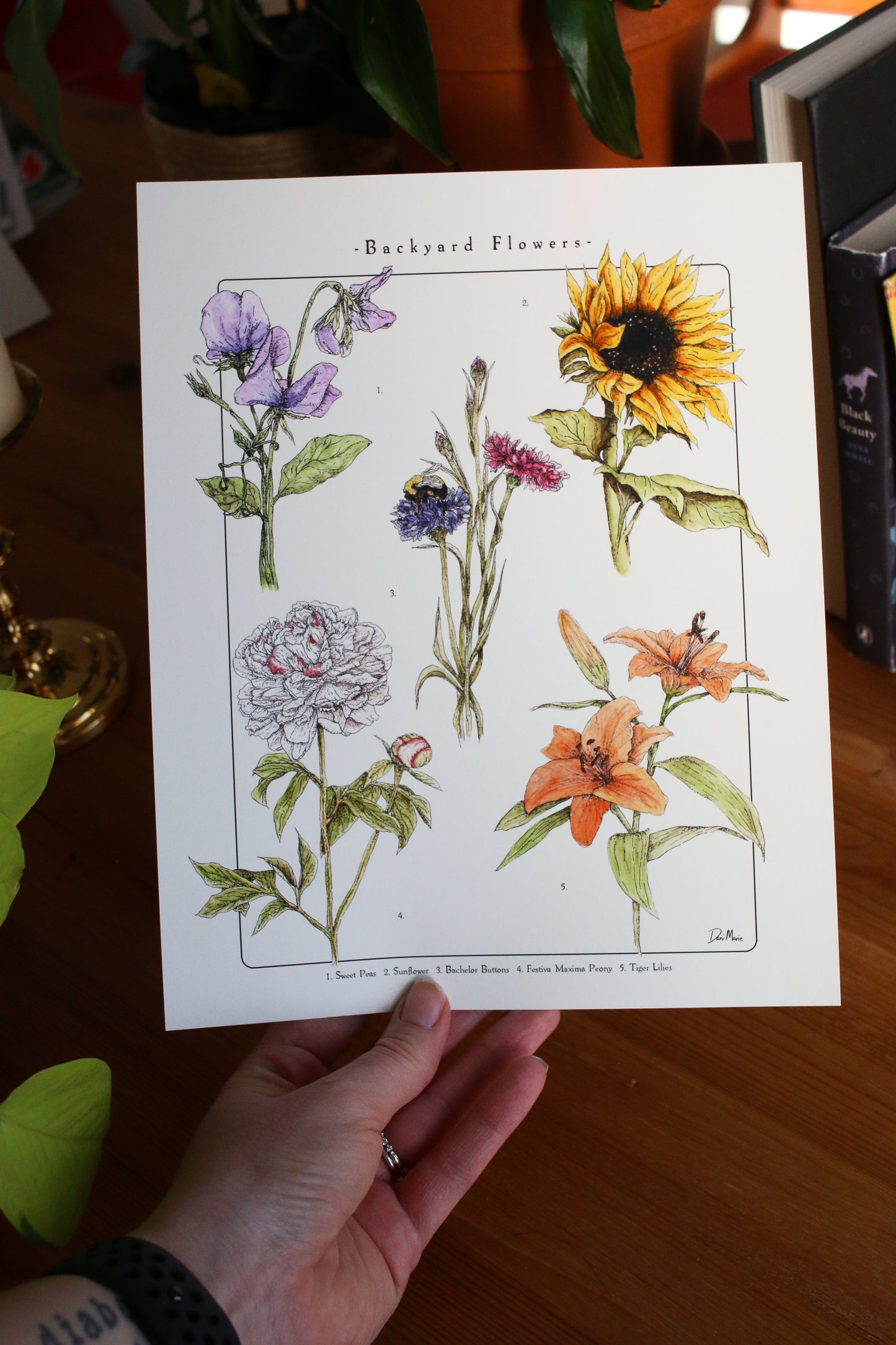 Backyard Flowers Print - Infographic