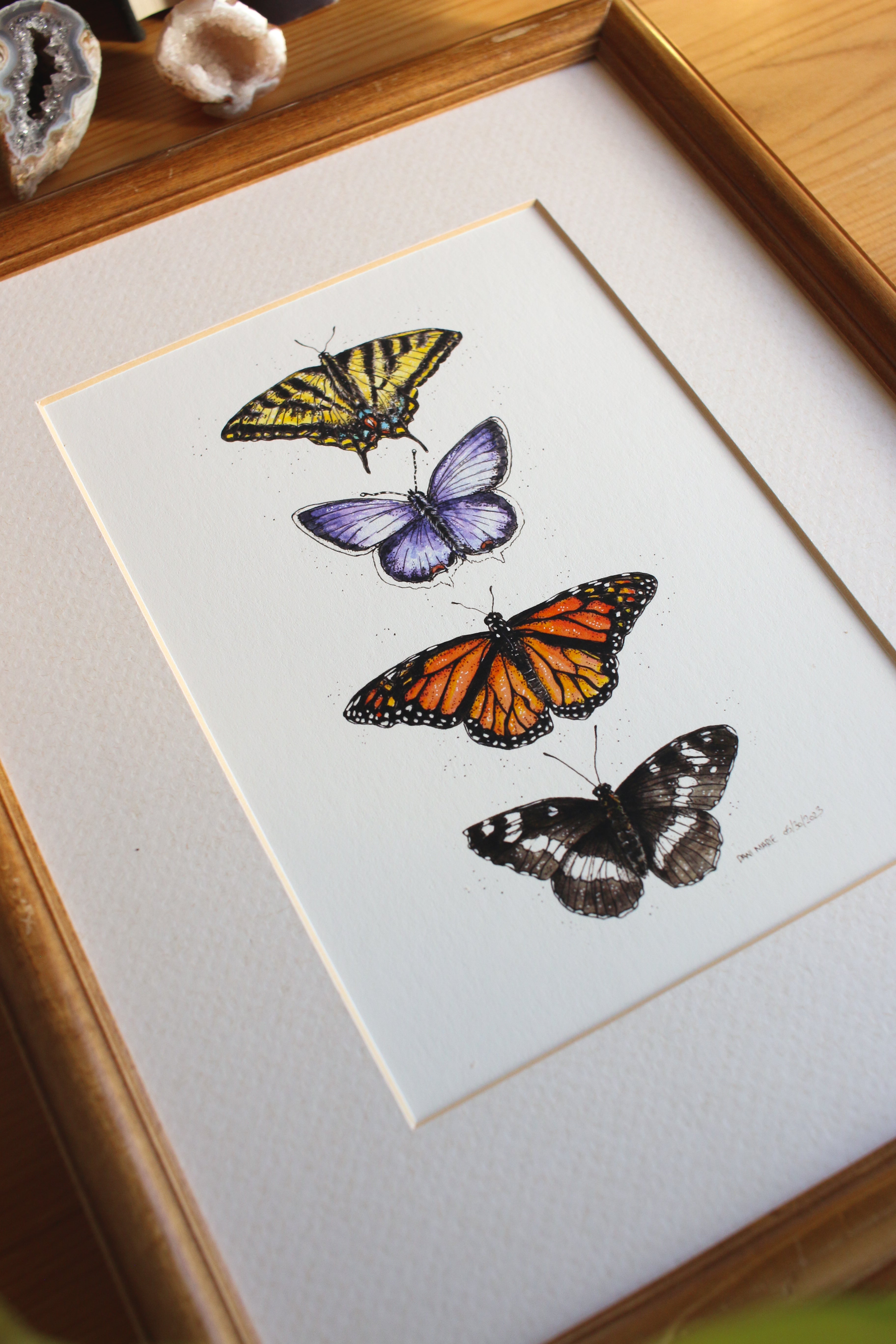 Butterflies - Group of 4