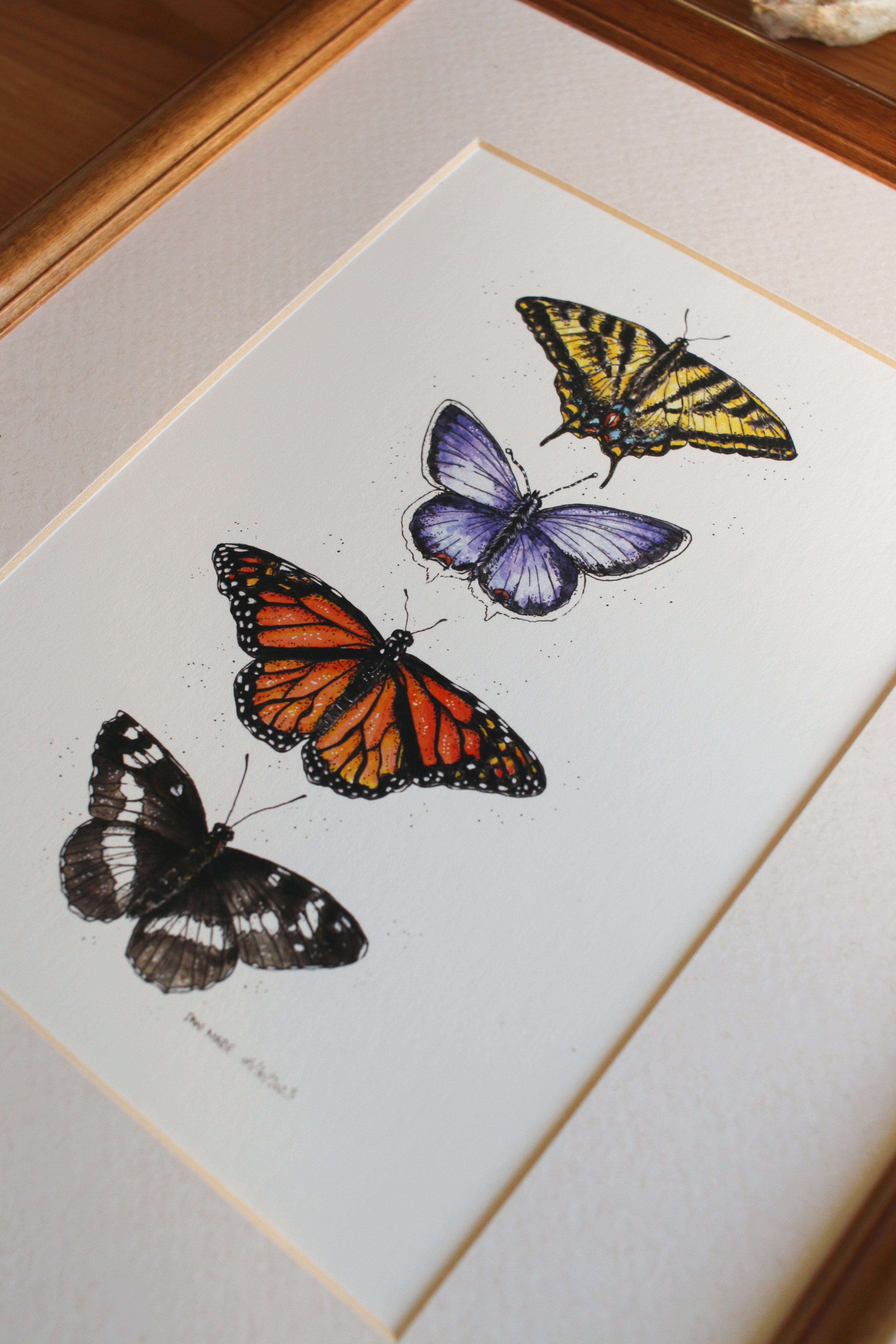 Butterflies - Group of 4