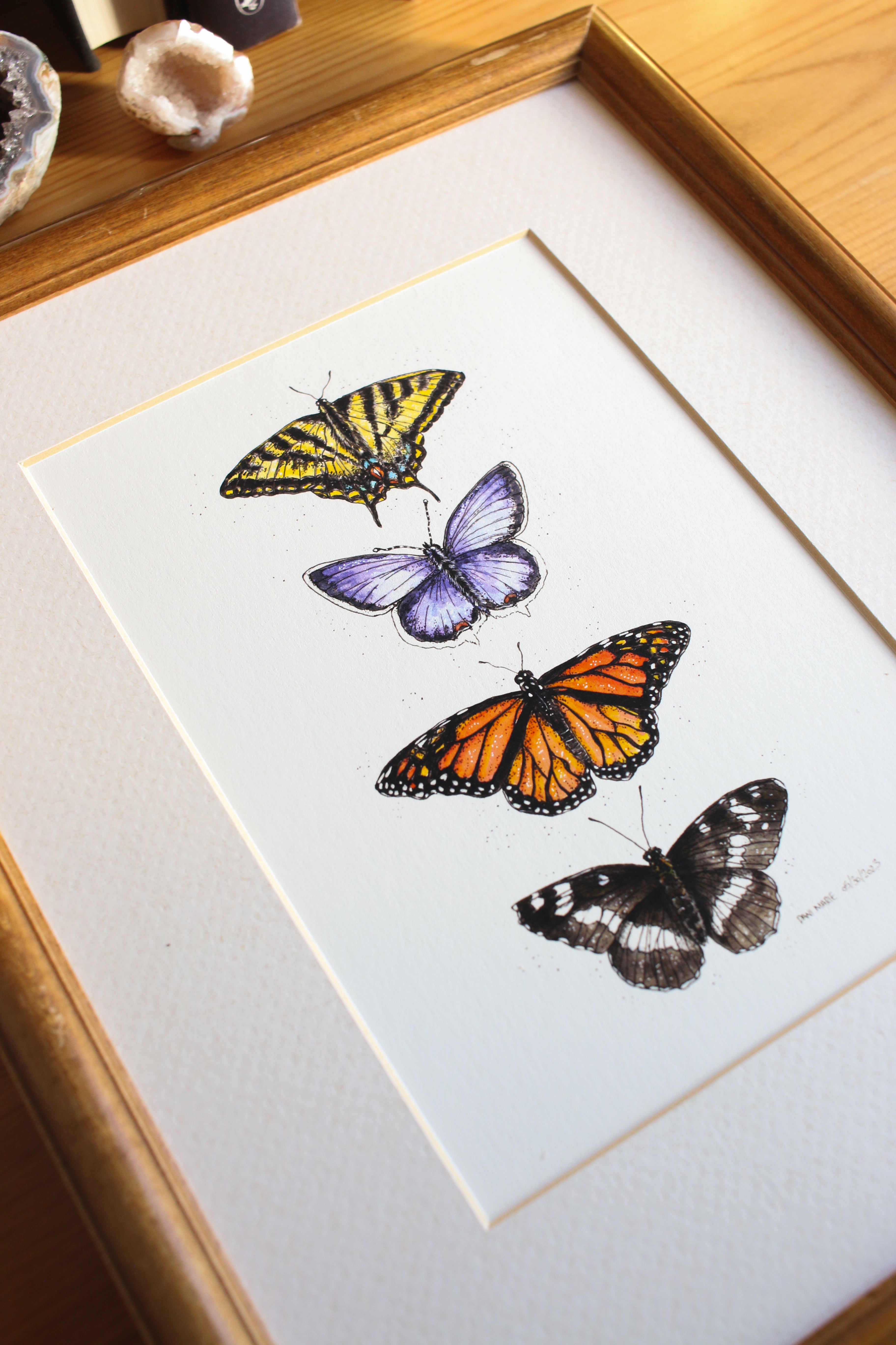 Butterflies - Group of 4