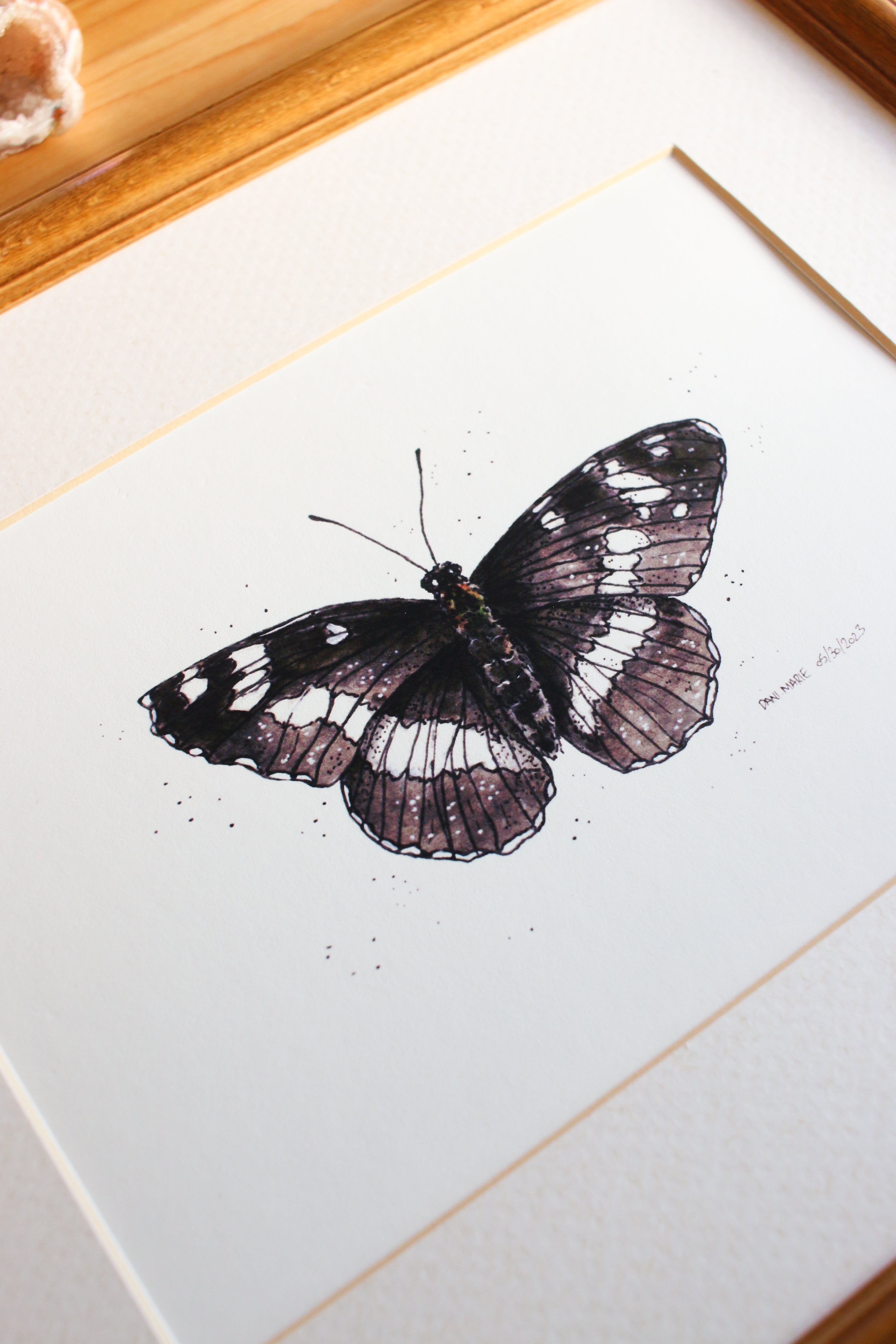 Butterfly - White Admiral