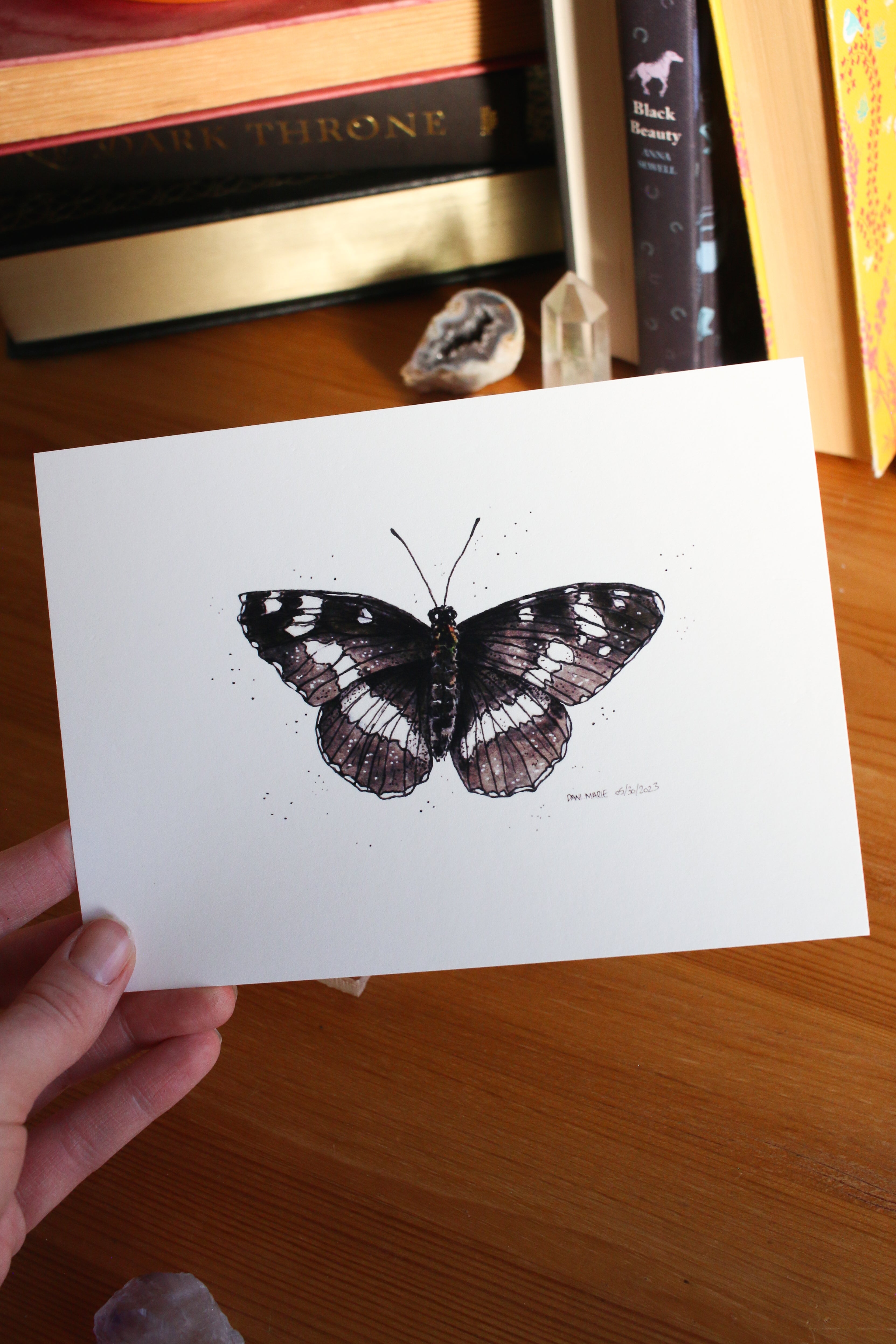 Butterfly - White Admiral