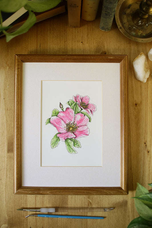Woods' Rose