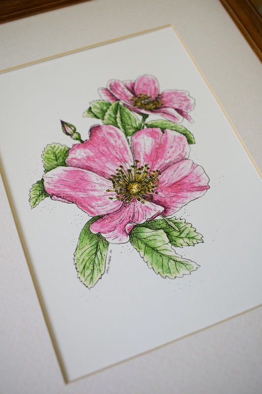 Woods' Rose