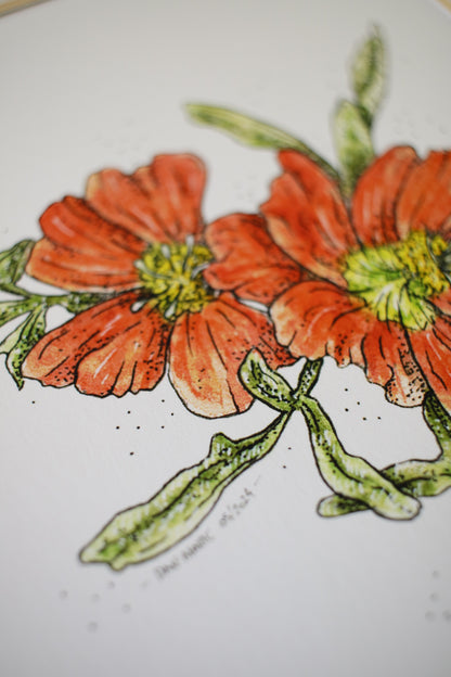 Scarlet Mallow
