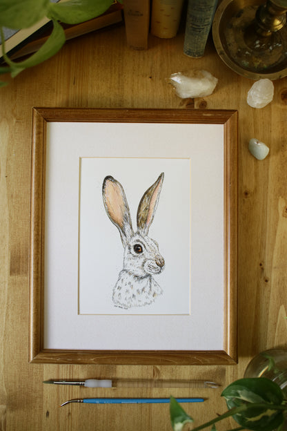 Winter Hare