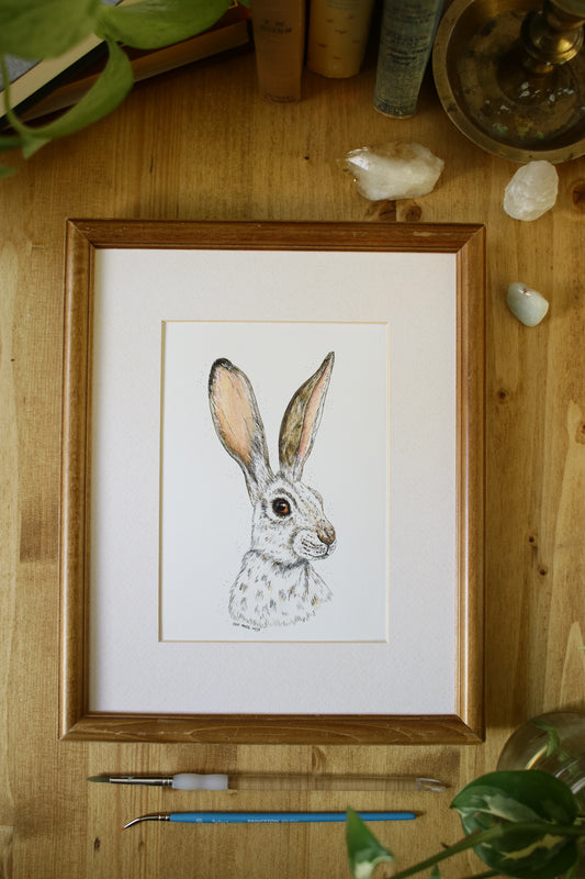 Winter Hare