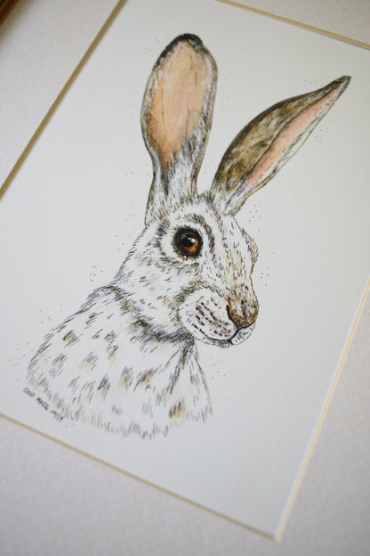 Winter Hare