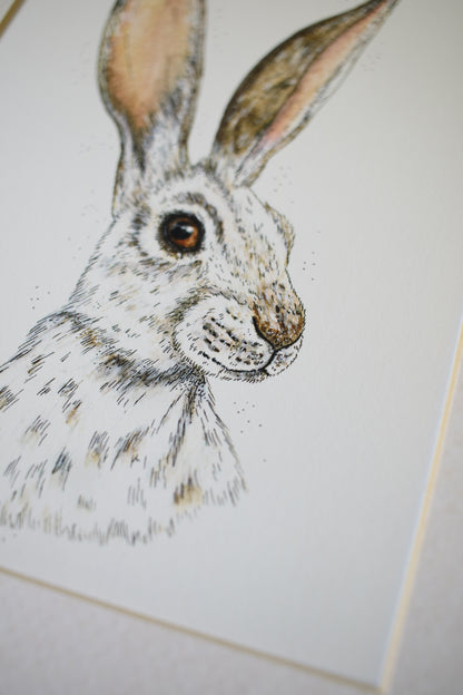 Winter Hare