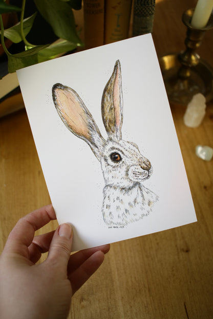 Winter Hare