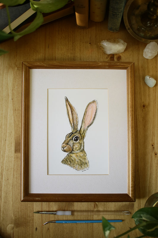 Summer Hare