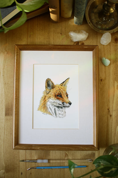 Red Fox