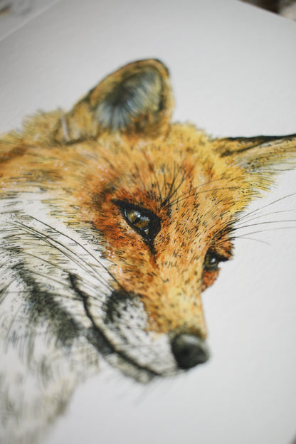 Red Fox