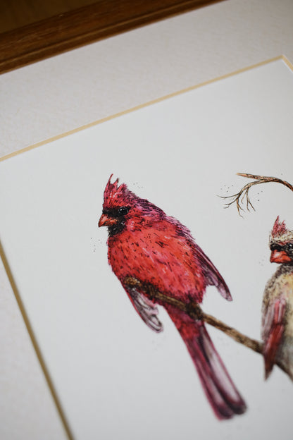 Cardinal  - Pair