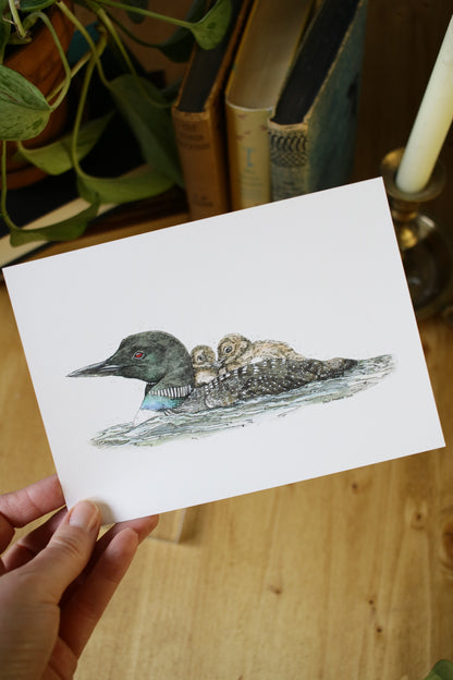 Loon with babies