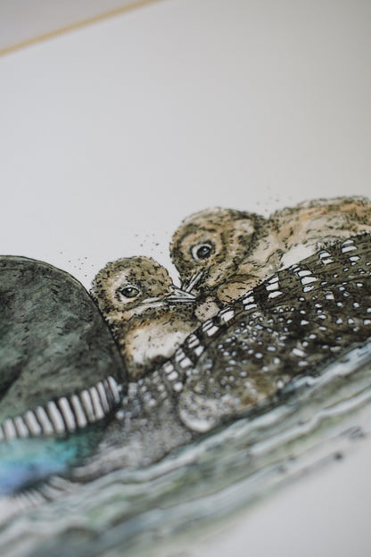 Loon with babies