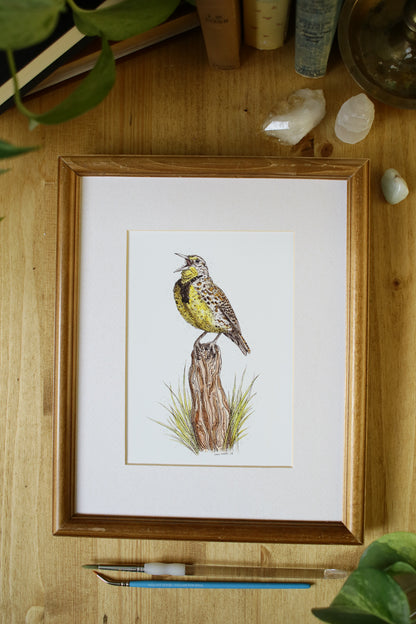 Meadow Lark