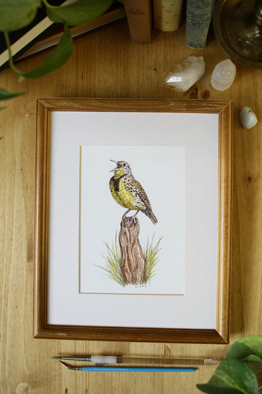 Meadow Lark