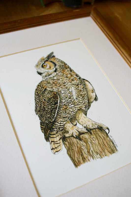 Great Horned Owl