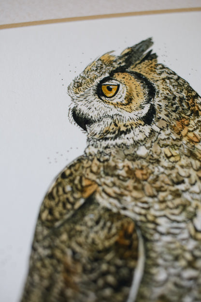 Great Horned Owl