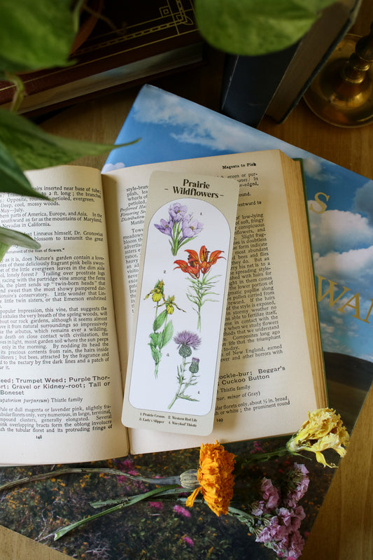 Prairie Wildflower Bookmark- Double Sided