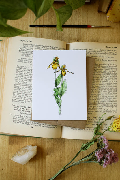 Lady Slipper - SMALL Greeting Card