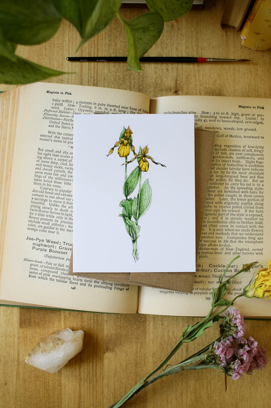 Lady Slipper - SMALL Greeting Card