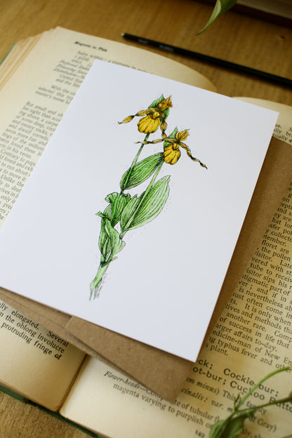 Lady Slipper - SMALL Greeting Card