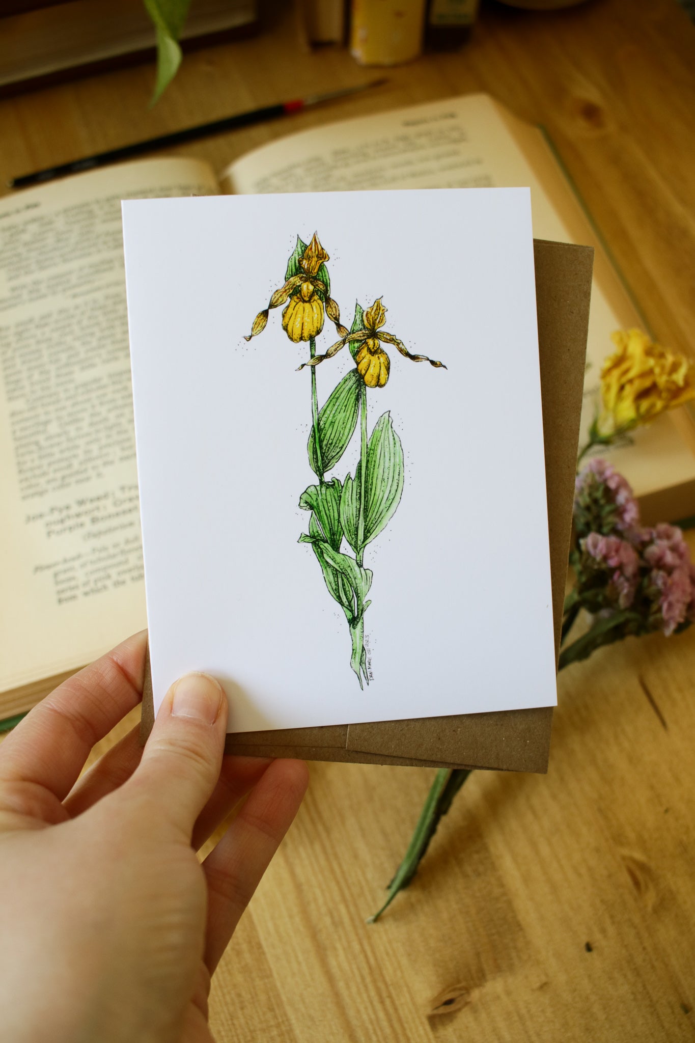 Lady Slipper - SMALL Greeting Card