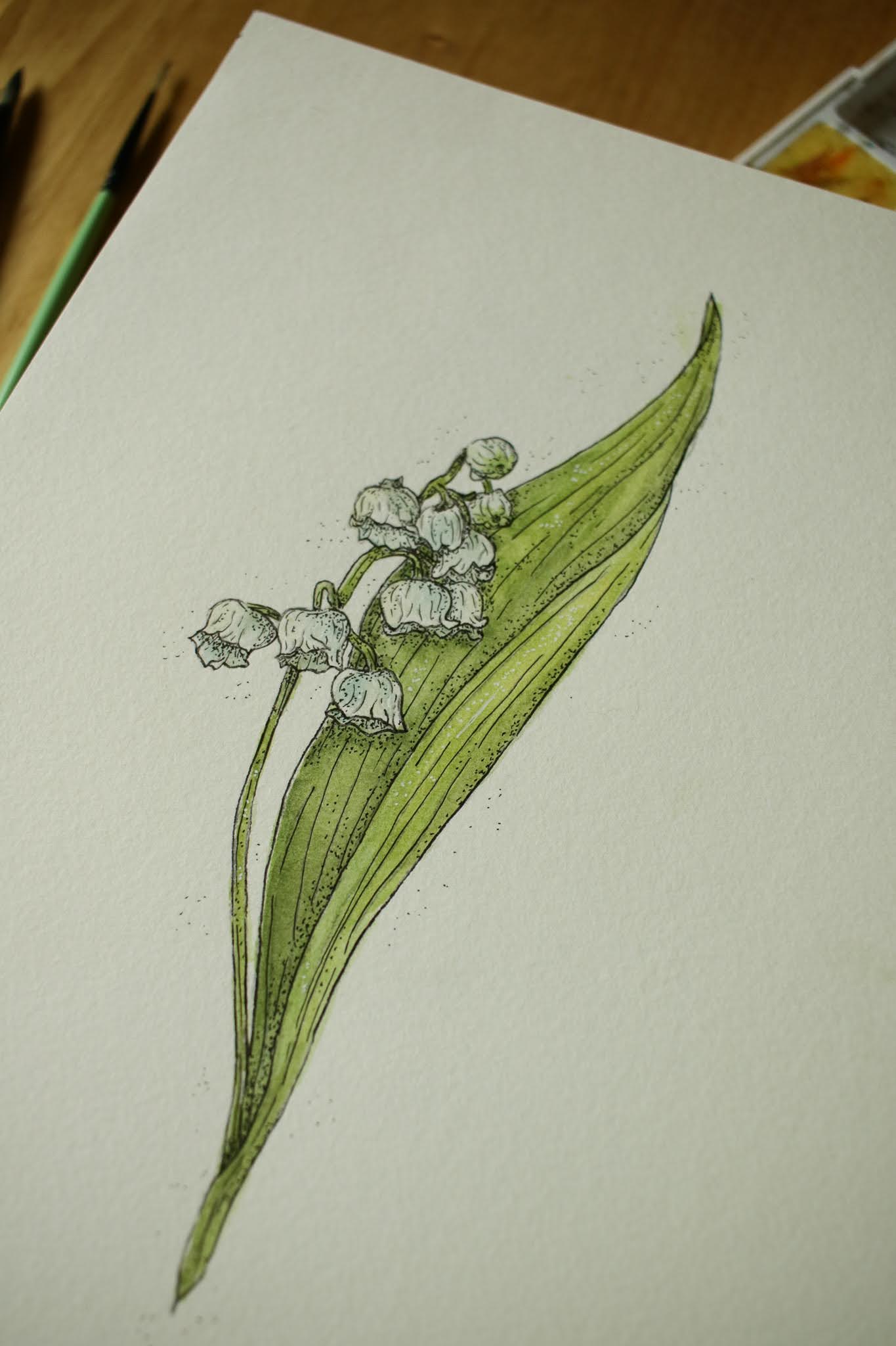 Lily of the Valley - Original Watercolour Painting